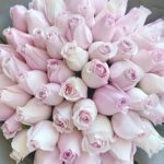 Салон цветов Camellia фото